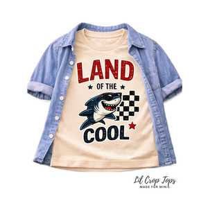 Land of the Cool Toddler